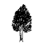 blocchi autocad 2d