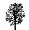blocchi autocad 2d