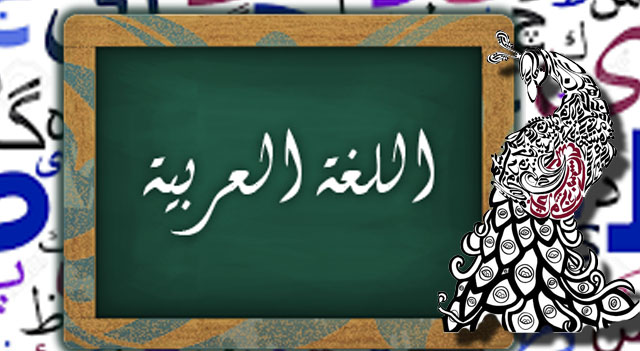 corsi di arabo a mestre